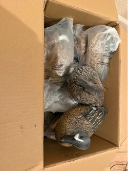 Duck Decoys