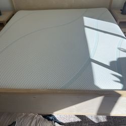 TEMPUR-Adapt Medium (Tempur-Pedic)