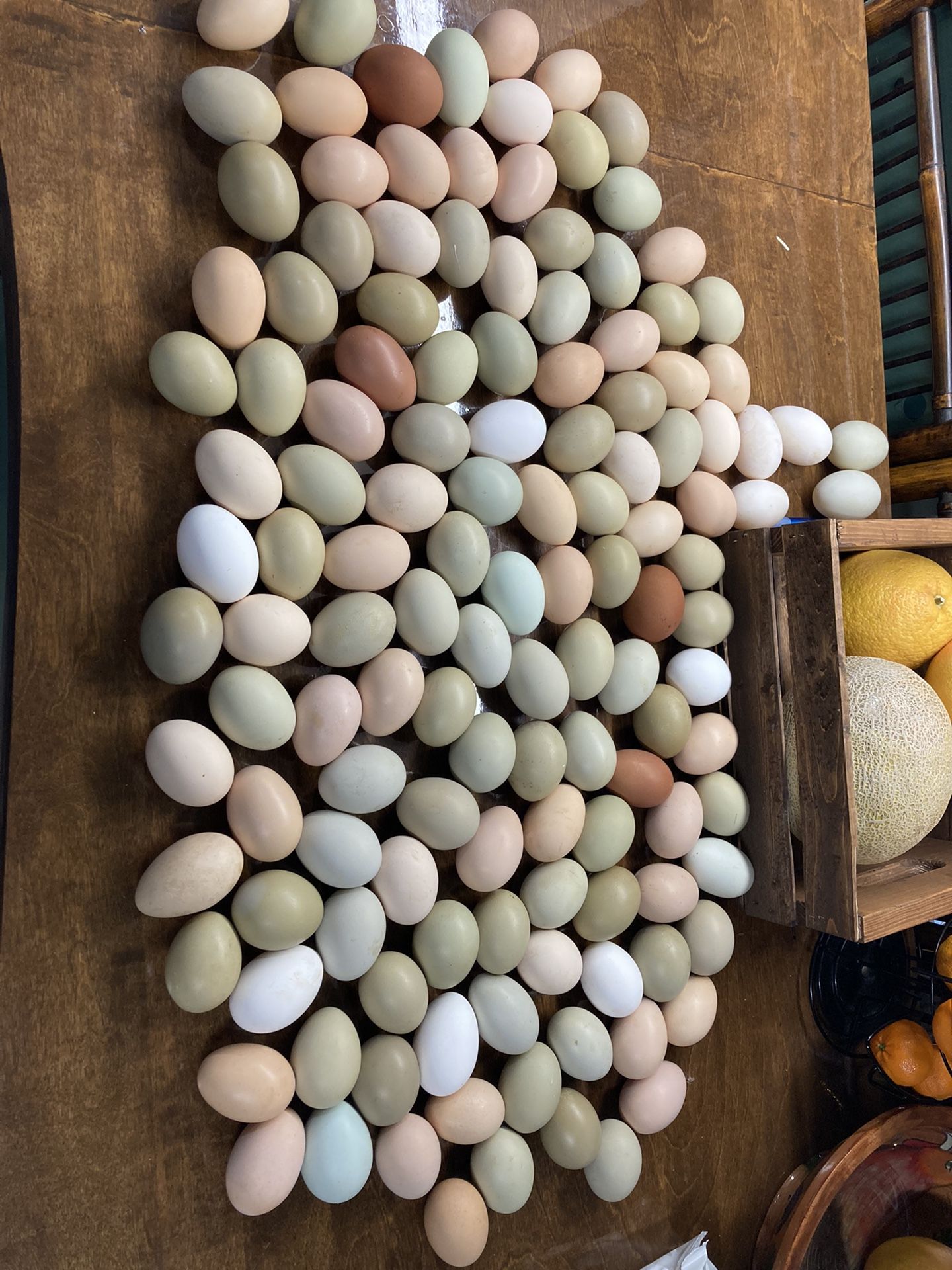 Eggs For Days!