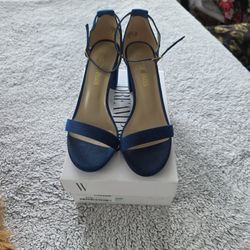 Royal Blue Chunk Heel Shoes 