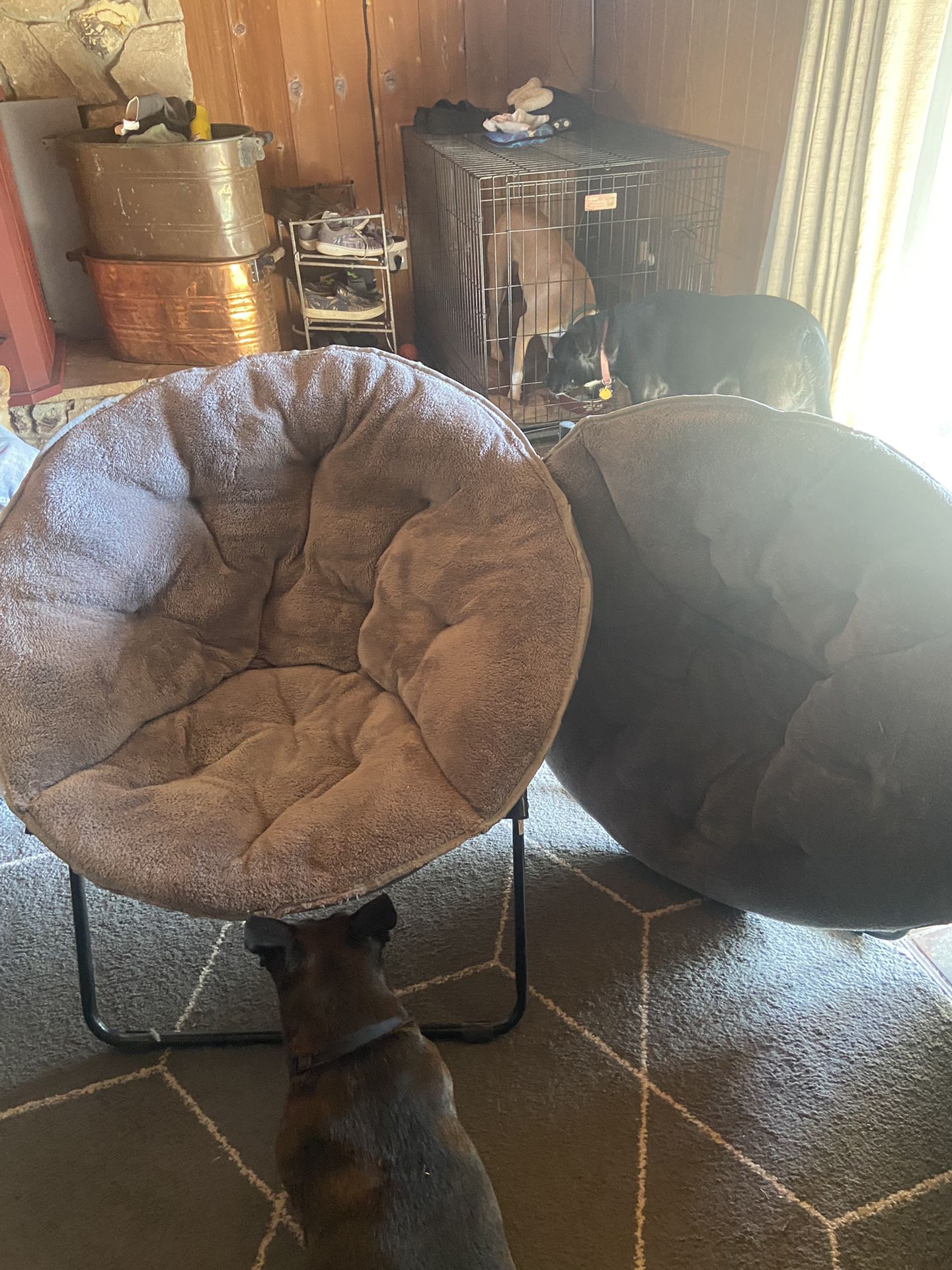Plush Saucer Chair Used But In Great Condition 20$  Only One Available 