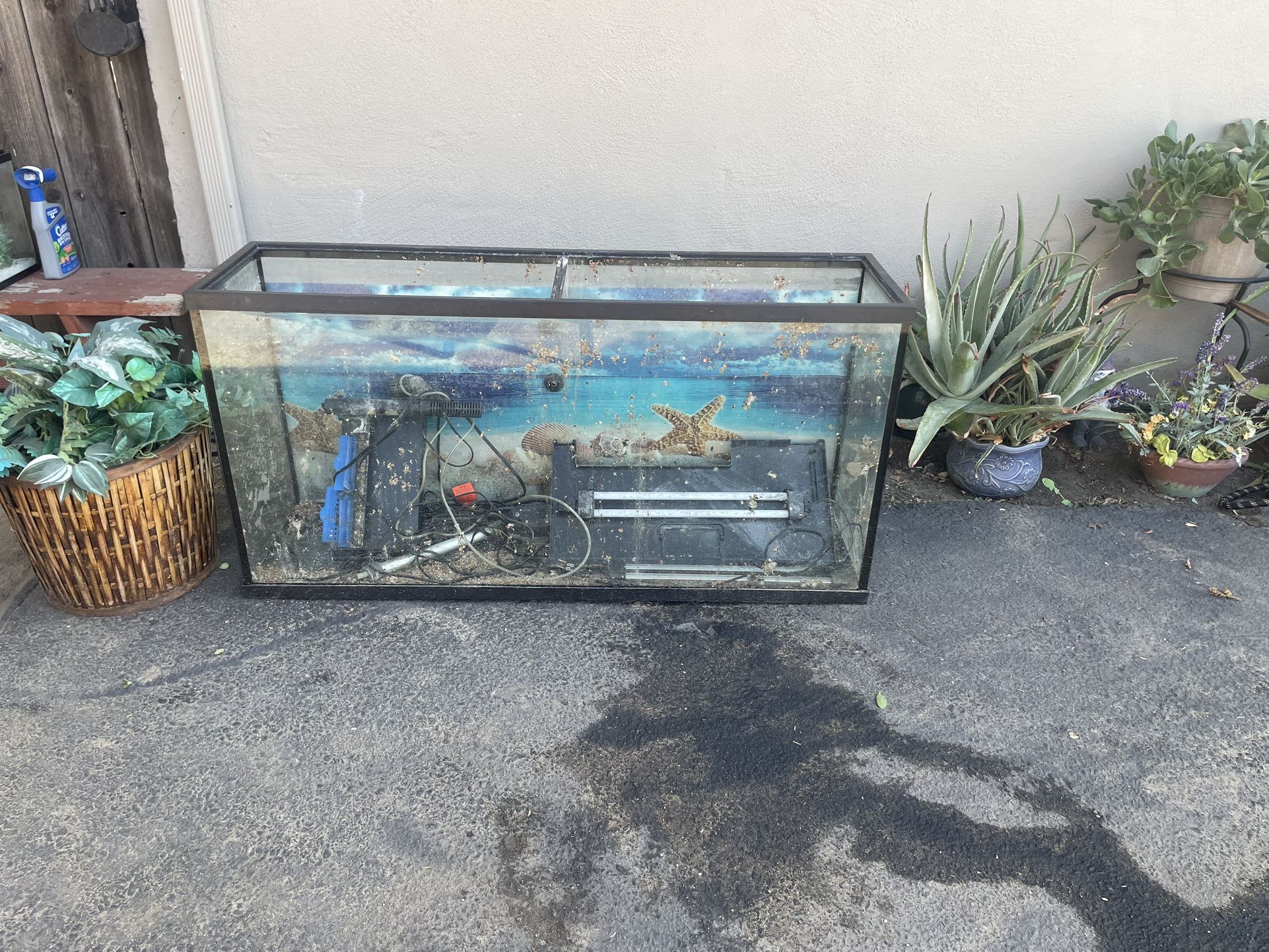 55 Gallon Fish Tank