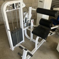 Life Fitness Lower Back Extension 