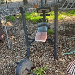 Weight Bench 