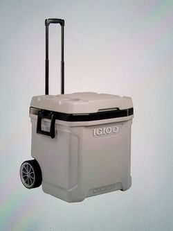 IGLOO.   62QT
