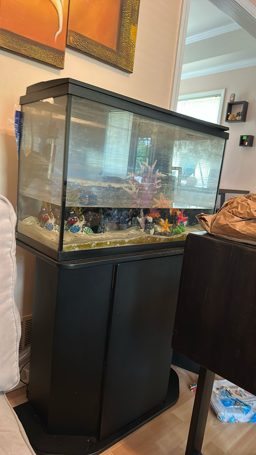 Fish Tank