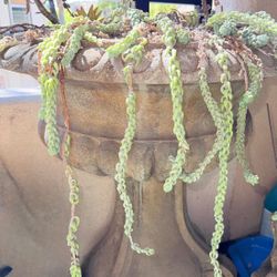 Two Outdoor Vases
