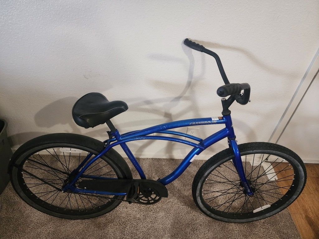 Adult Bike Blue