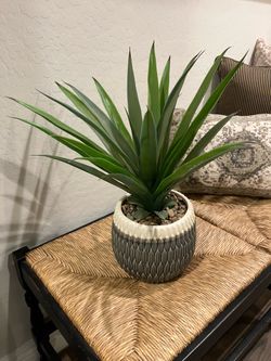 Nice artificial plant