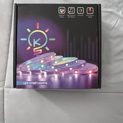 LED Wall Strips 