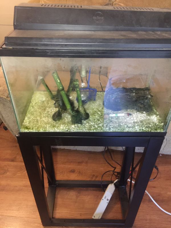 15 gallon fish tank [aquarium] for Sale in Greenville, SC OfferUp
