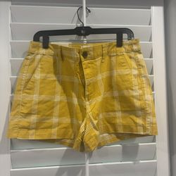 A New Day Shorts