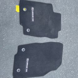 Lexus Floor Mats-NX 300