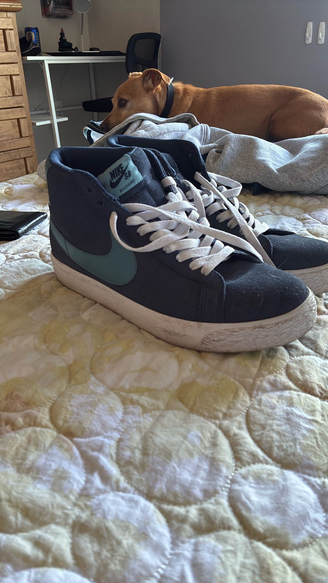 Nike Sb Blazers
