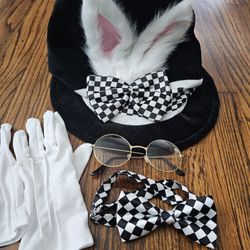 White Rabbit Costume Set of 4