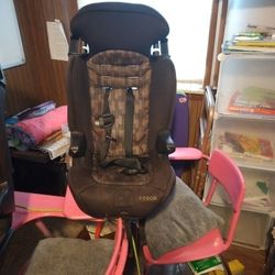 2 Children Adjustable Car Seat