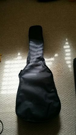 Acoustic gig bag