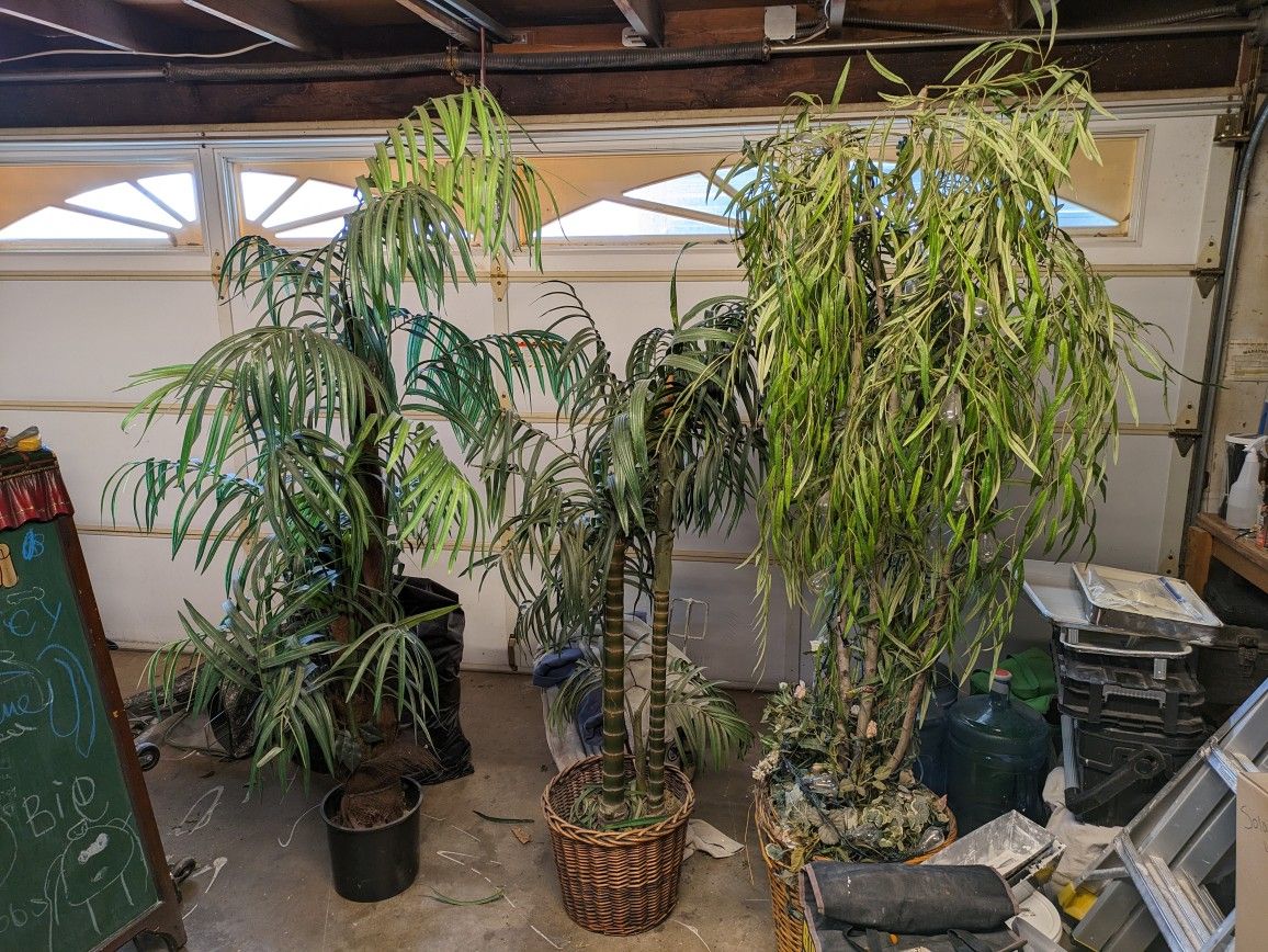 Staging Plants (Fake Plants)