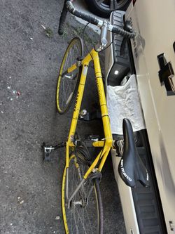 Schwinn Madison