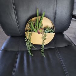 Faux plant, succulent decor