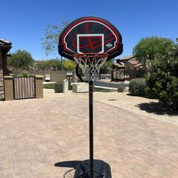 Lifetime Kids Basketball Hoop