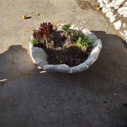 Cement Bowl