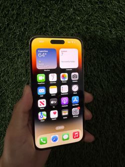 iPhone 14 Pro Max (Gold)