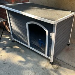 Dog House 