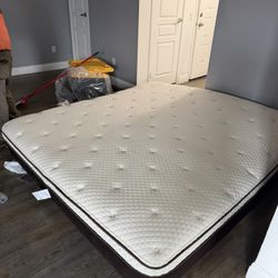 Noah Plush King Mattress 
