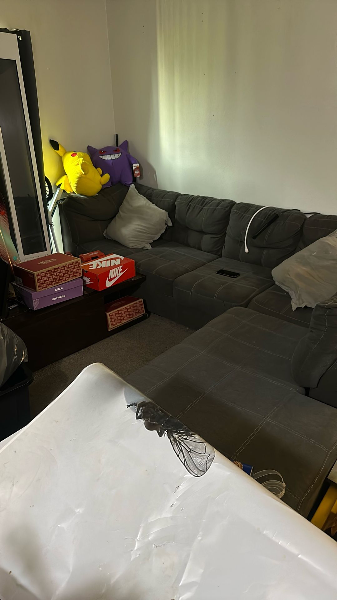 Sectional Couch And Table