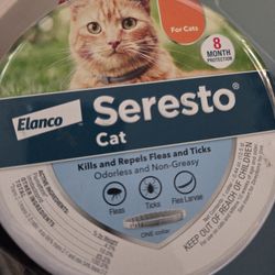 Collar for Cats 