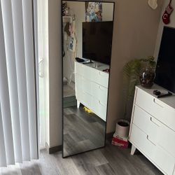Body length mirror 