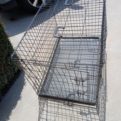 Dog Cage