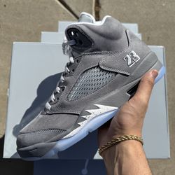 Wolf grey 5