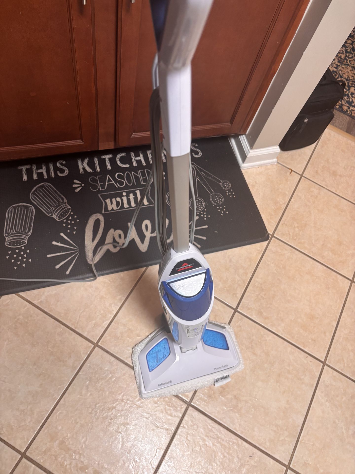 Bissell steam mop