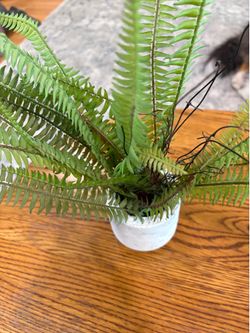 Artificial Boston fern