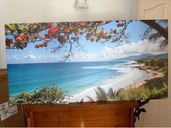 Puerto Rico coastline picture printed on canvas 47” x 24” new in box