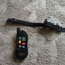 Dog Training Collar