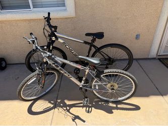 Bicycle (Schwinn and Huffy)