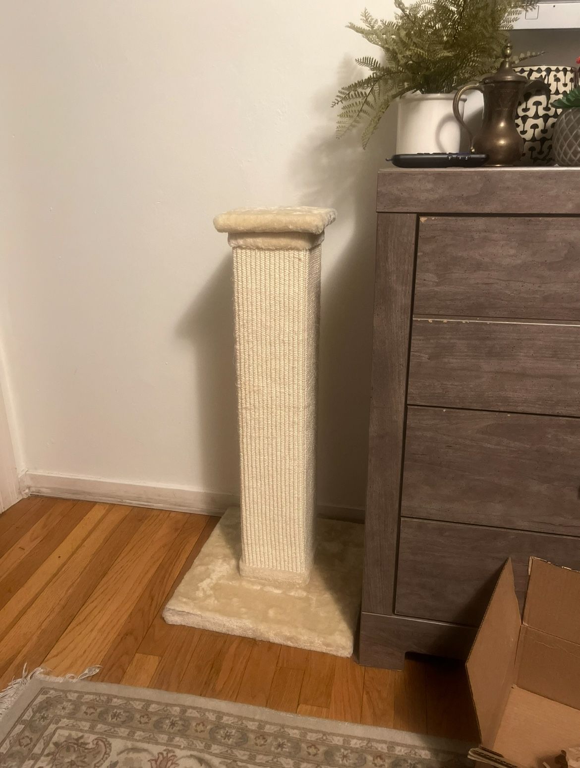 Cat Scratching Post