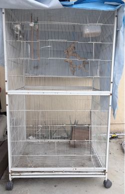Bird cage