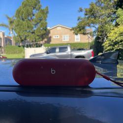 Beats Pill (10 Months Old) 