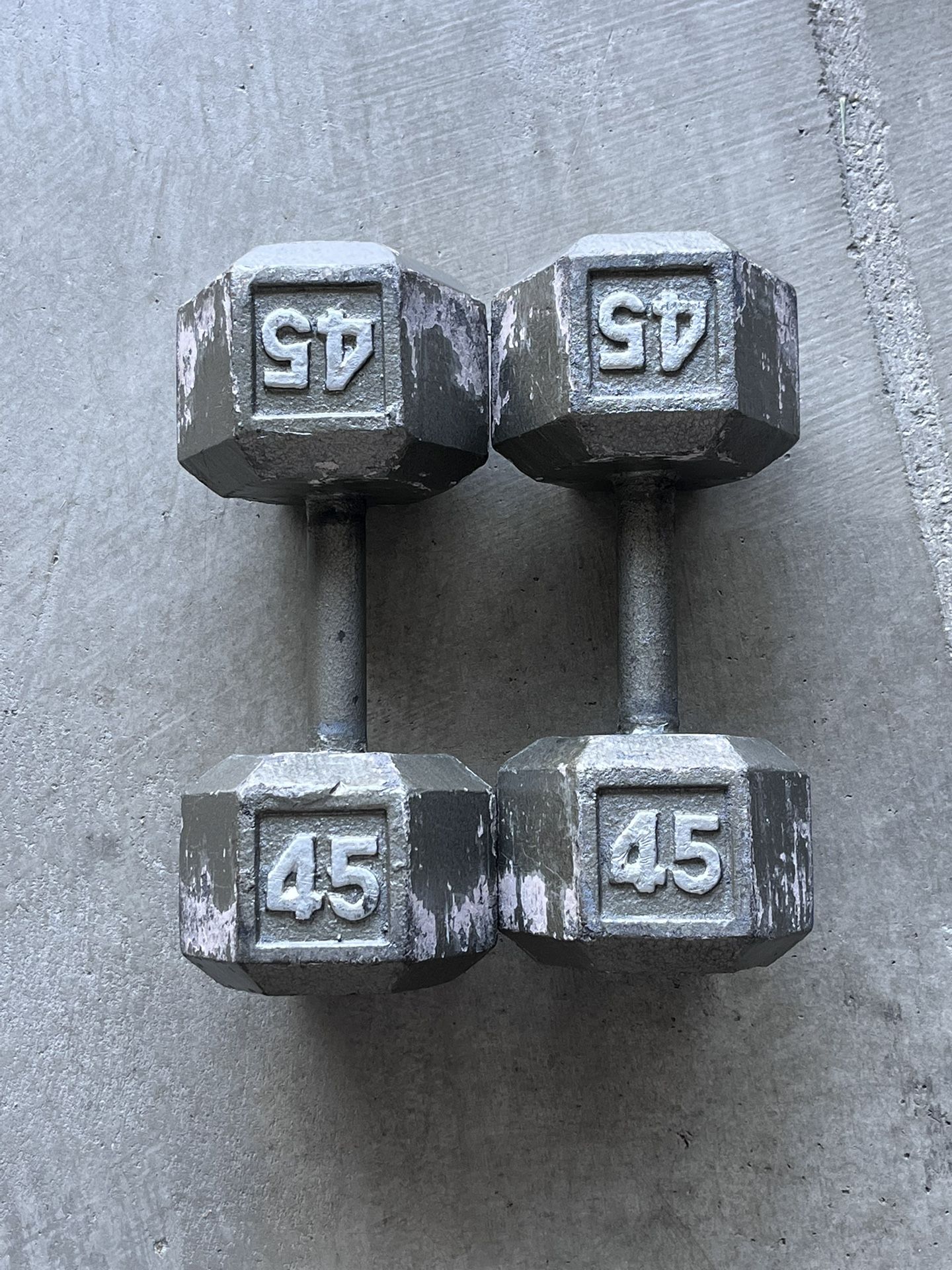 45 Lb Dumbbells