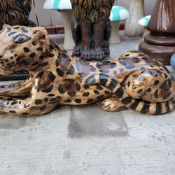 Leopard For Sale