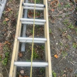 Extension Ladder 