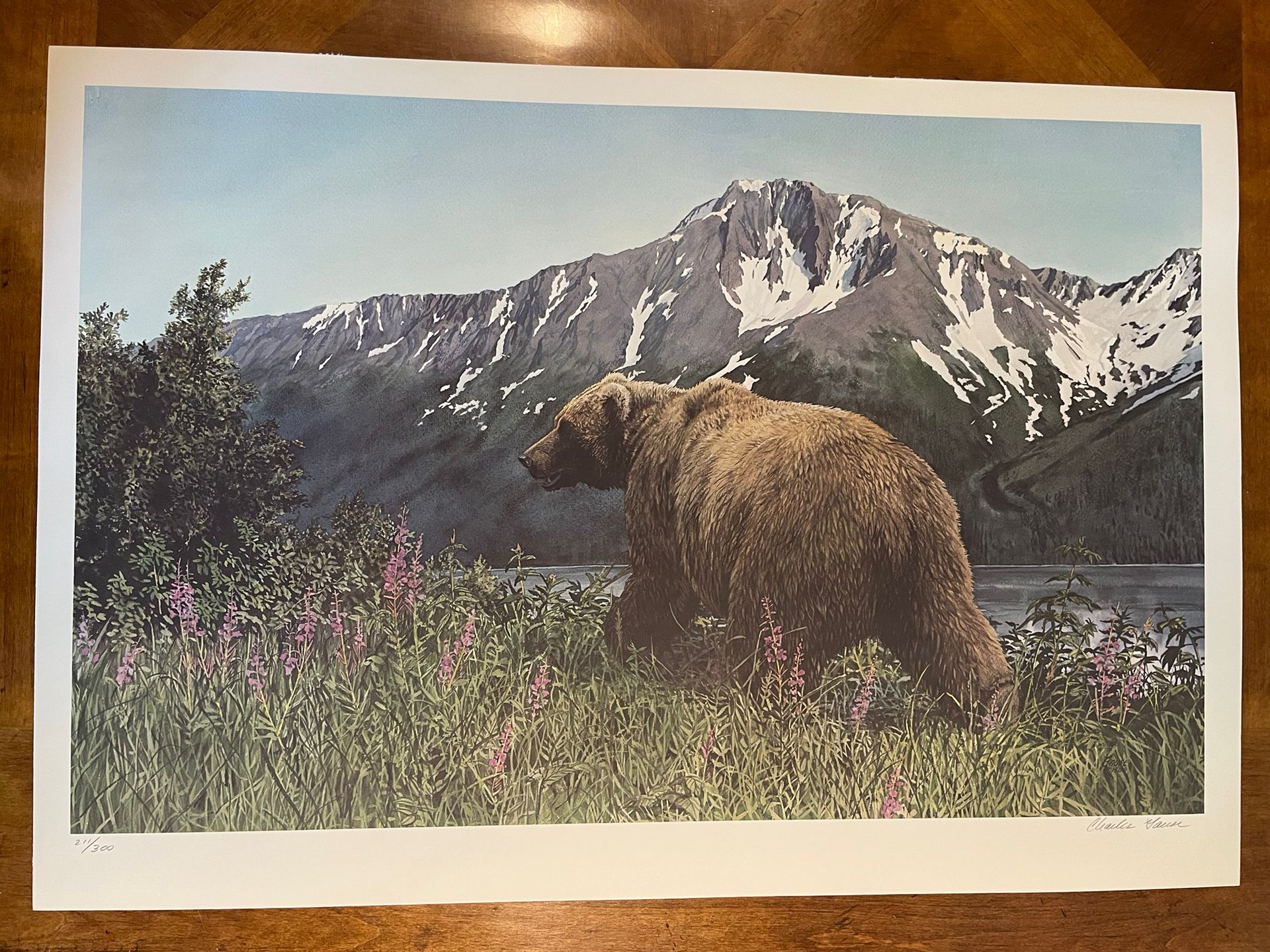 Charles Gause Lithograph Signed Numbered - Grizzly Bear 22x23