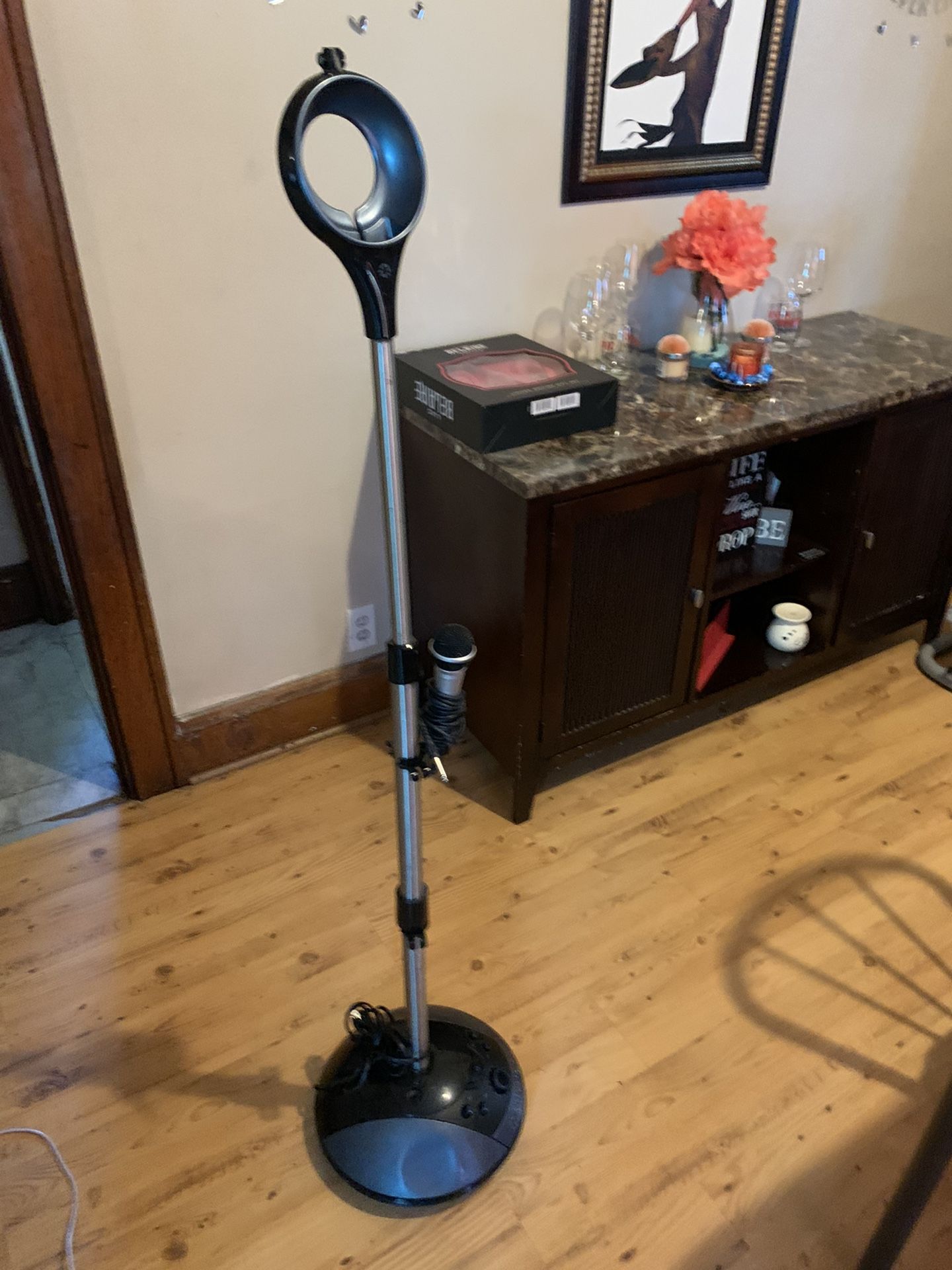 Training Bag And Microphone And Stand