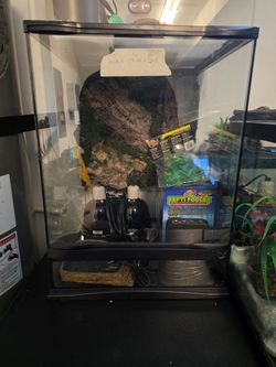 Terrarium 17.75" x 17.75" x 24.5"