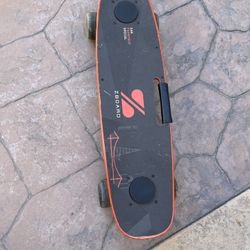 Electric Long Skate Board (Zboard)