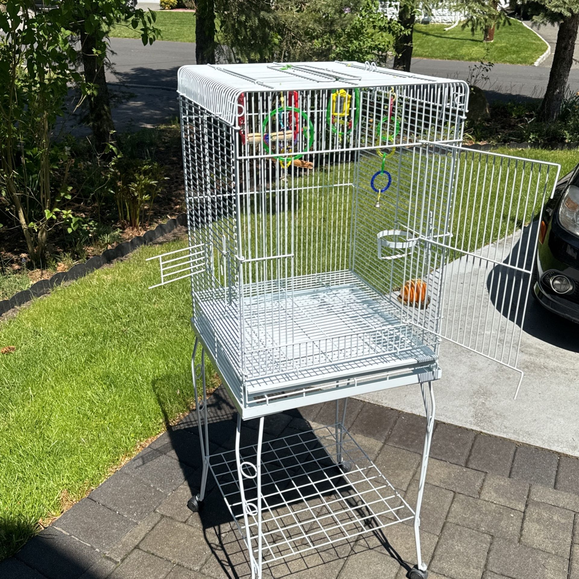 Bird Cage